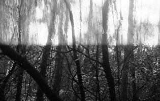 Thumbnail Placeholder